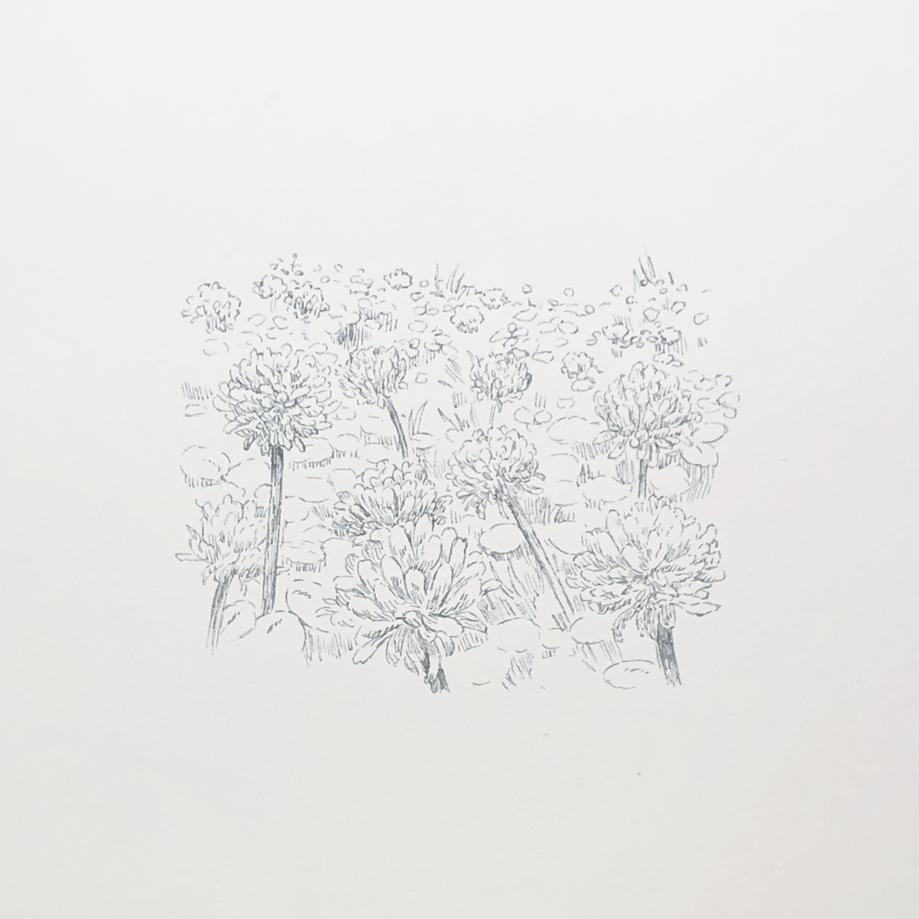イラスト80